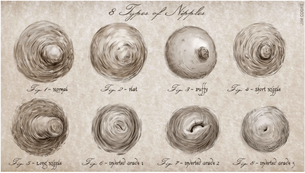 Classification of nipple shape according to the relation between nipple